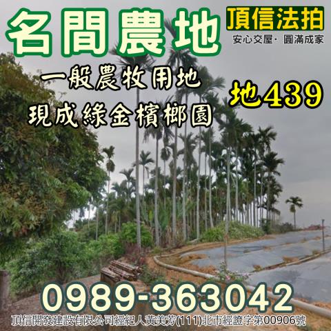 南投名間法拍農地-1