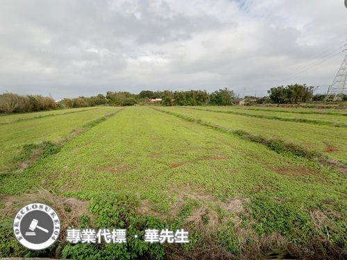 桃園觀音農地法拍-1