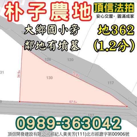 朴子農地拍賣-2