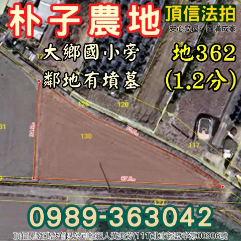 朴子農地拍賣-3