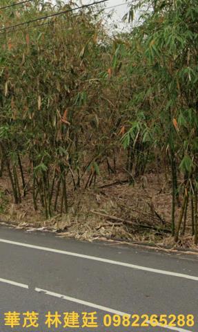 梅山法拍農地-4