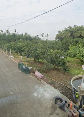 嘉義大林農地法拍-7