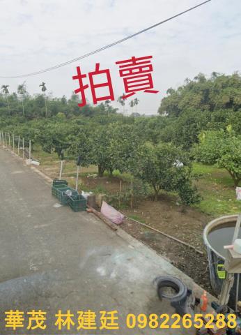 嘉義大林農地法拍-0