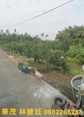 嘉義大林農地法拍-1