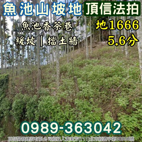 南投魚池法拍農地-4