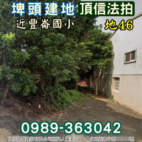 埤頭法拍建地-1