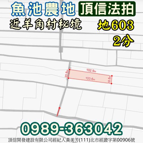 魚池農地法拍-1