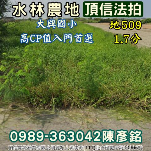 雲林水林農地拍賣-1