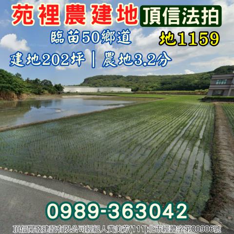 苑裡農地拍賣-0