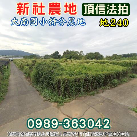 台中新社農地法拍-0