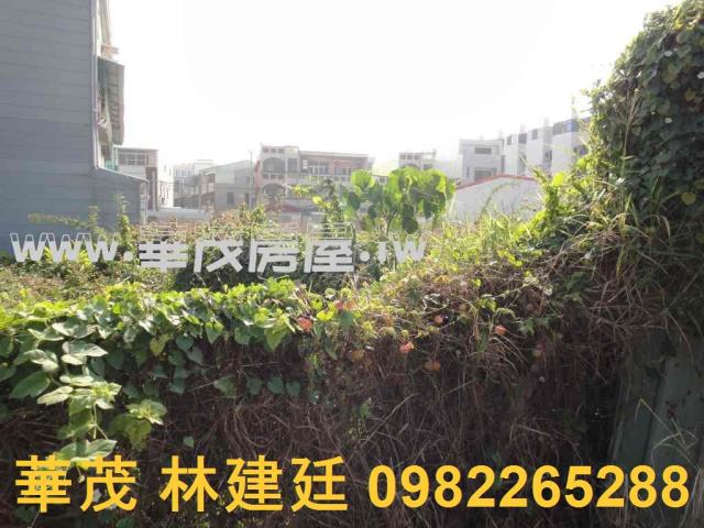 台南學甲法拍建地-5