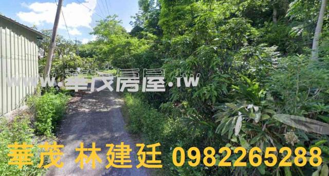 玉井農地拍賣-0