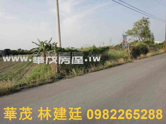 台南法拍農地-3