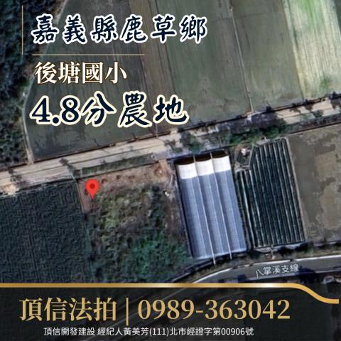 嘉義法拍農地-1